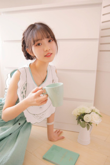 廉政行动组